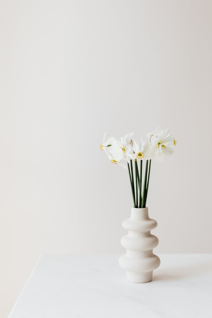 White daffodils in modern vase